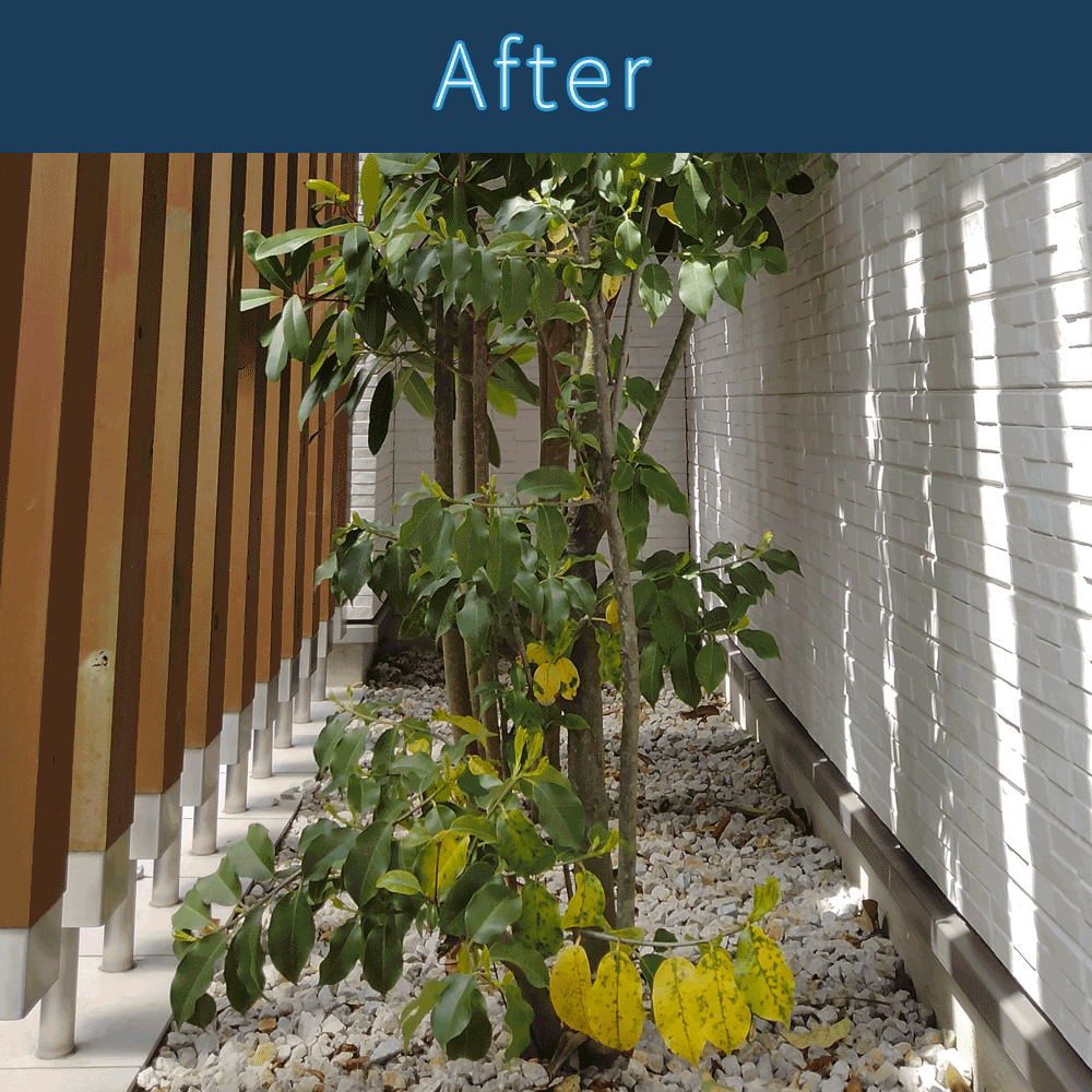造園・外構1 アフター